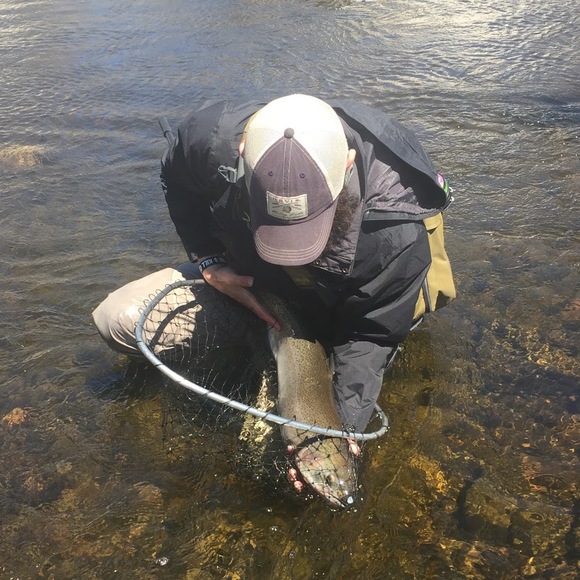 Meet your Posher, Craig - Picture 1 of 1